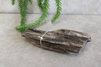 Versteend hout #6