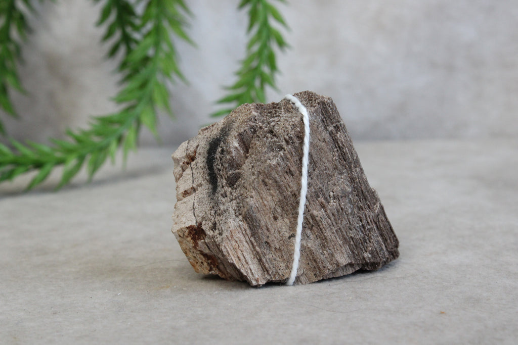 Versteend hout #9
