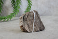 Versteend hout #9