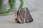 Versteend hout #9