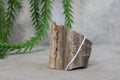 Versteend hout #10