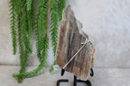 Versteend hout #11
