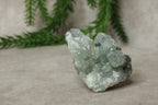 Prehniet cluster #50