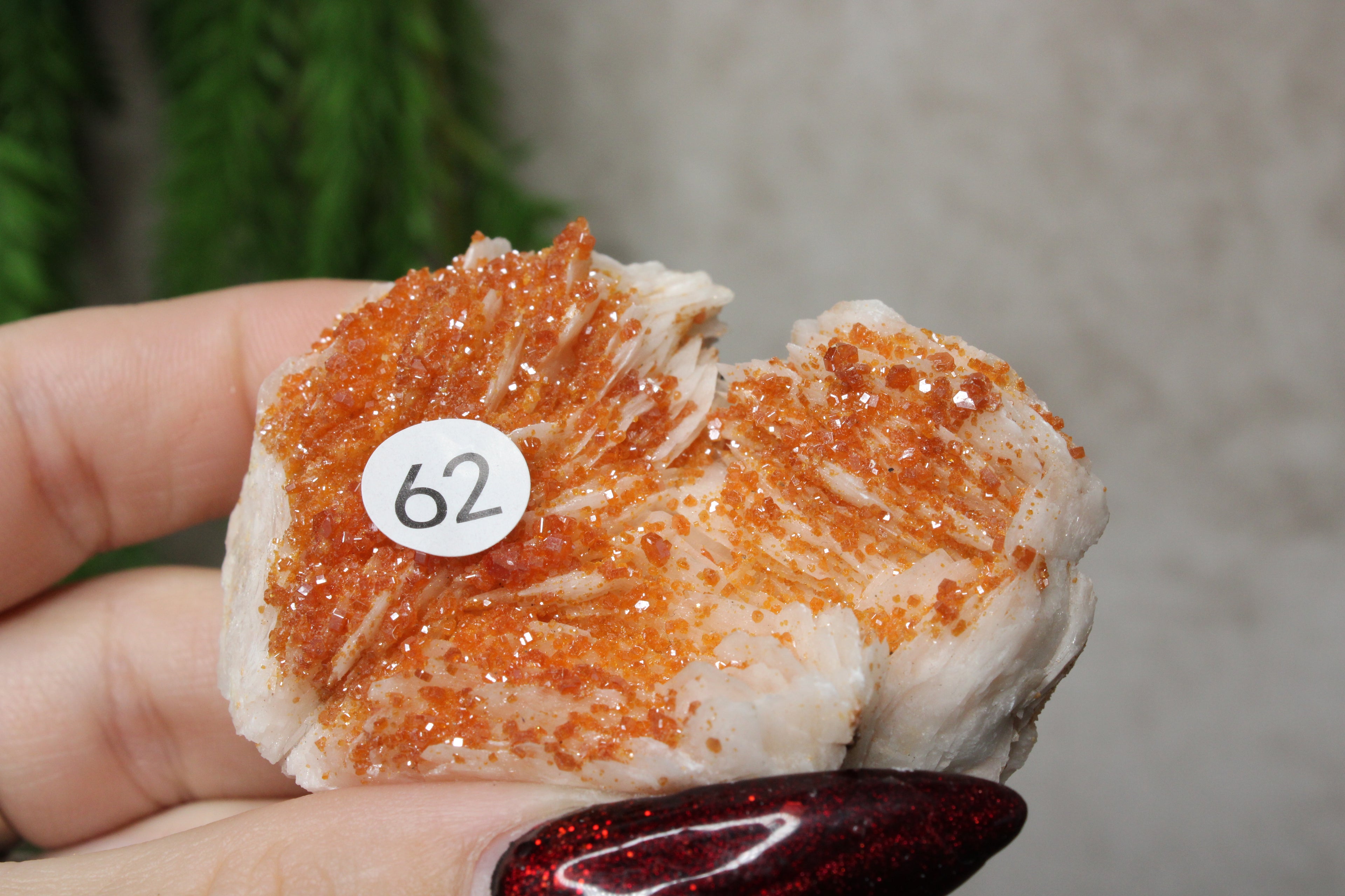 Vanadiniet #62