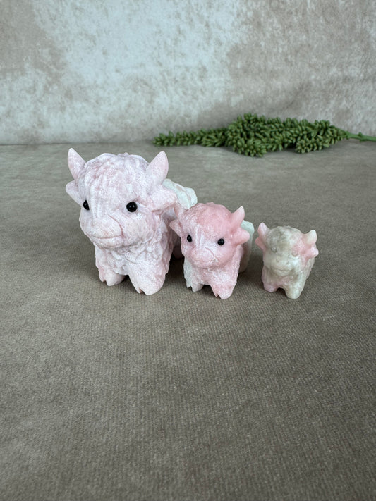 Schotse hooglander Roze opaal