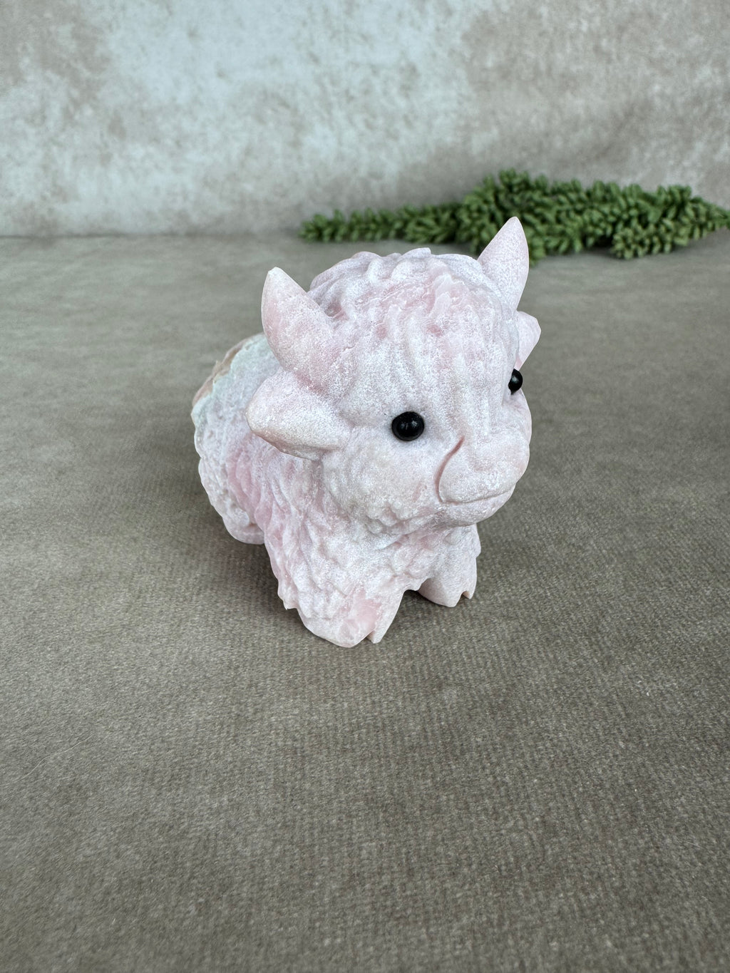 Schotse hooglander Roze opaal