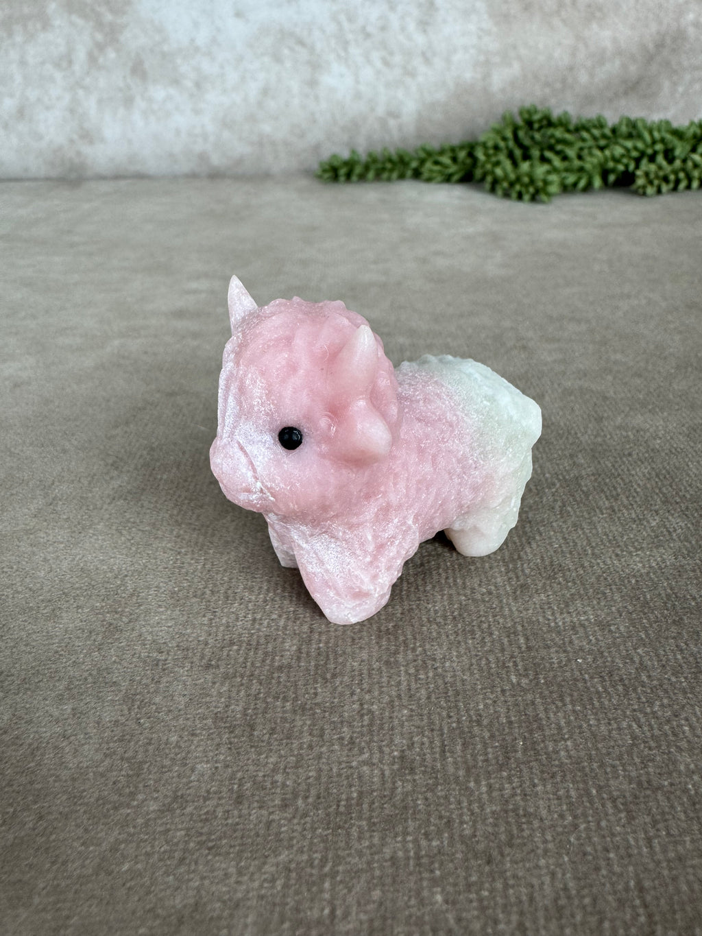 Schotse hooglander Roze opaal