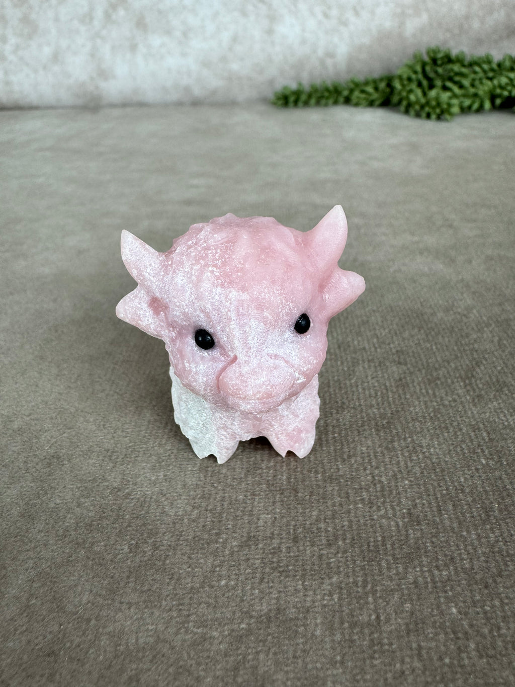 Schotse hooglander Roze opaal