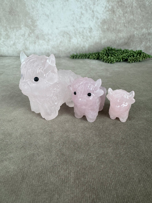 Schitse hooglander Rozenkwarts