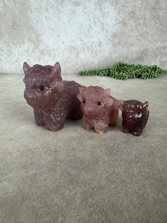 Schotse hooglander Aardbeien kwarts