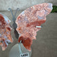 Roze agaat vlinder #1450