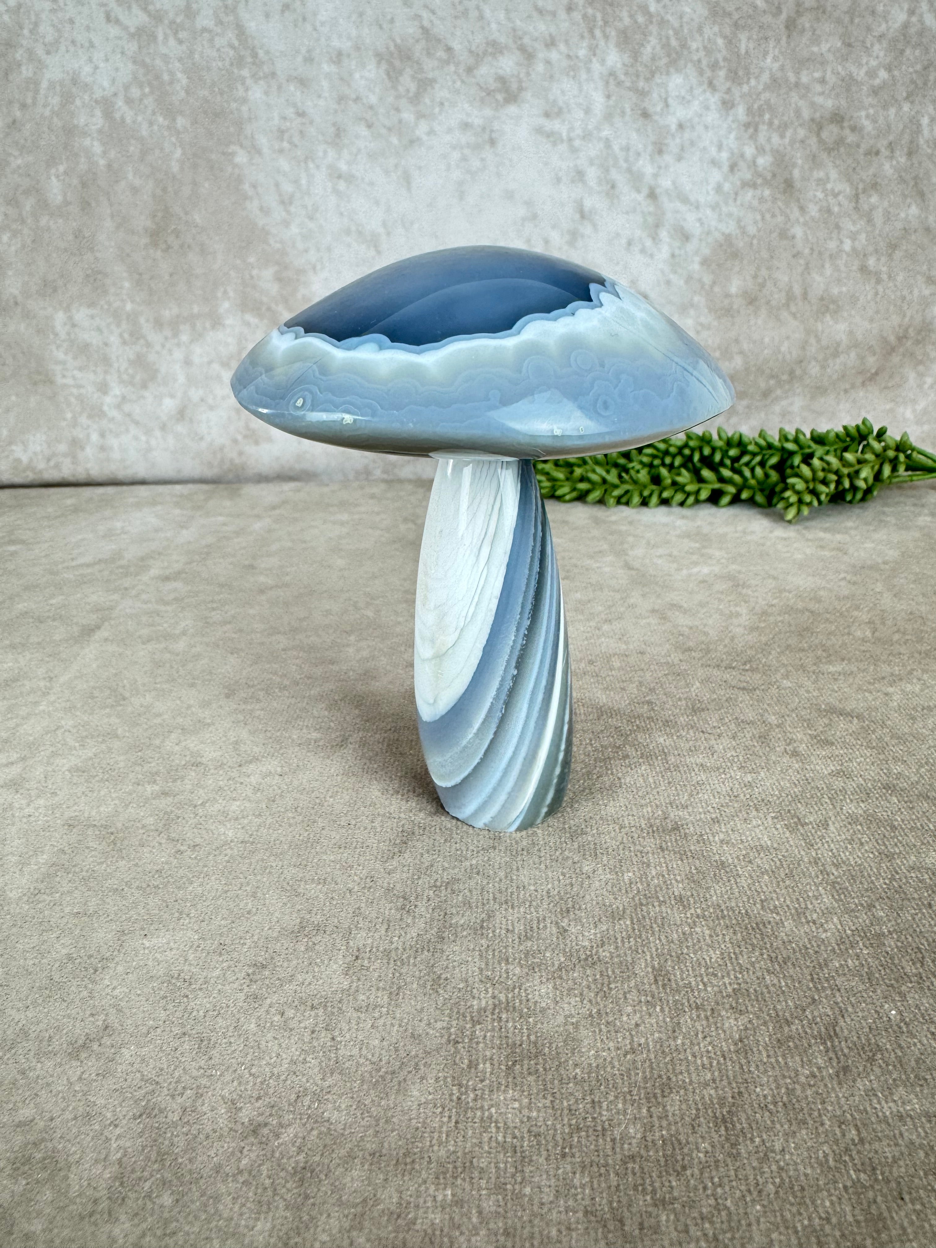 Agaat paddenstoel #1215