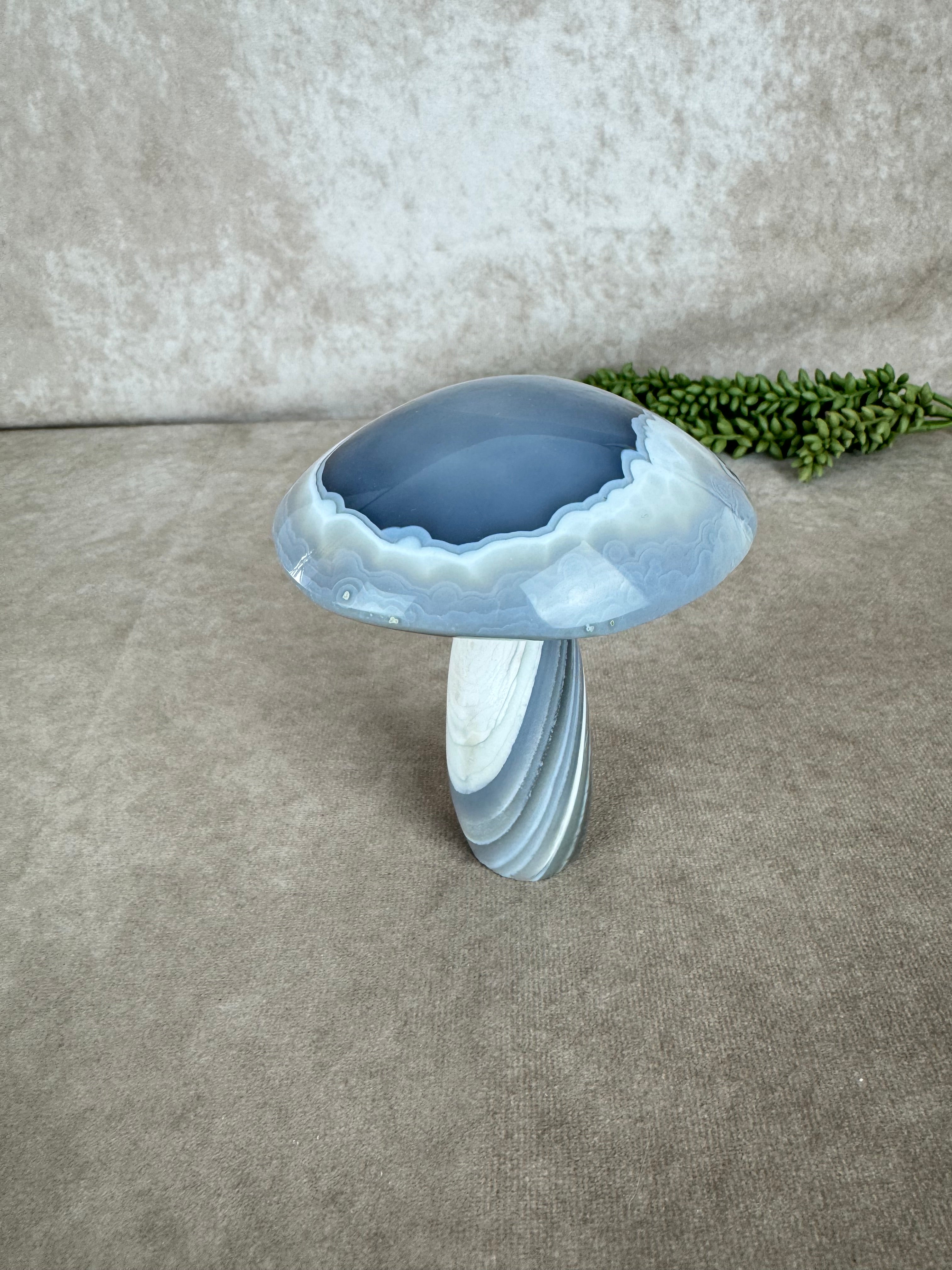 Agaat paddenstoel #1215