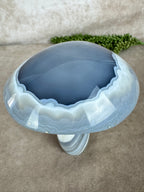 Agaat paddenstoel #1215