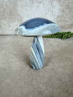 Agaat paddenstoel #1215