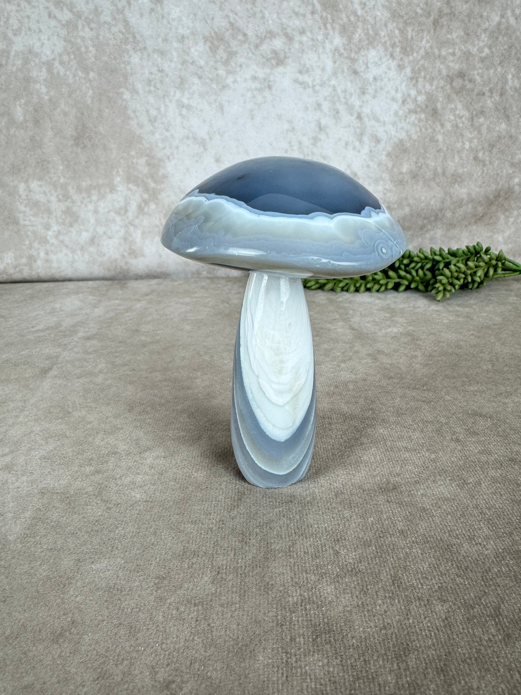 Agaat paddenstoel #1215