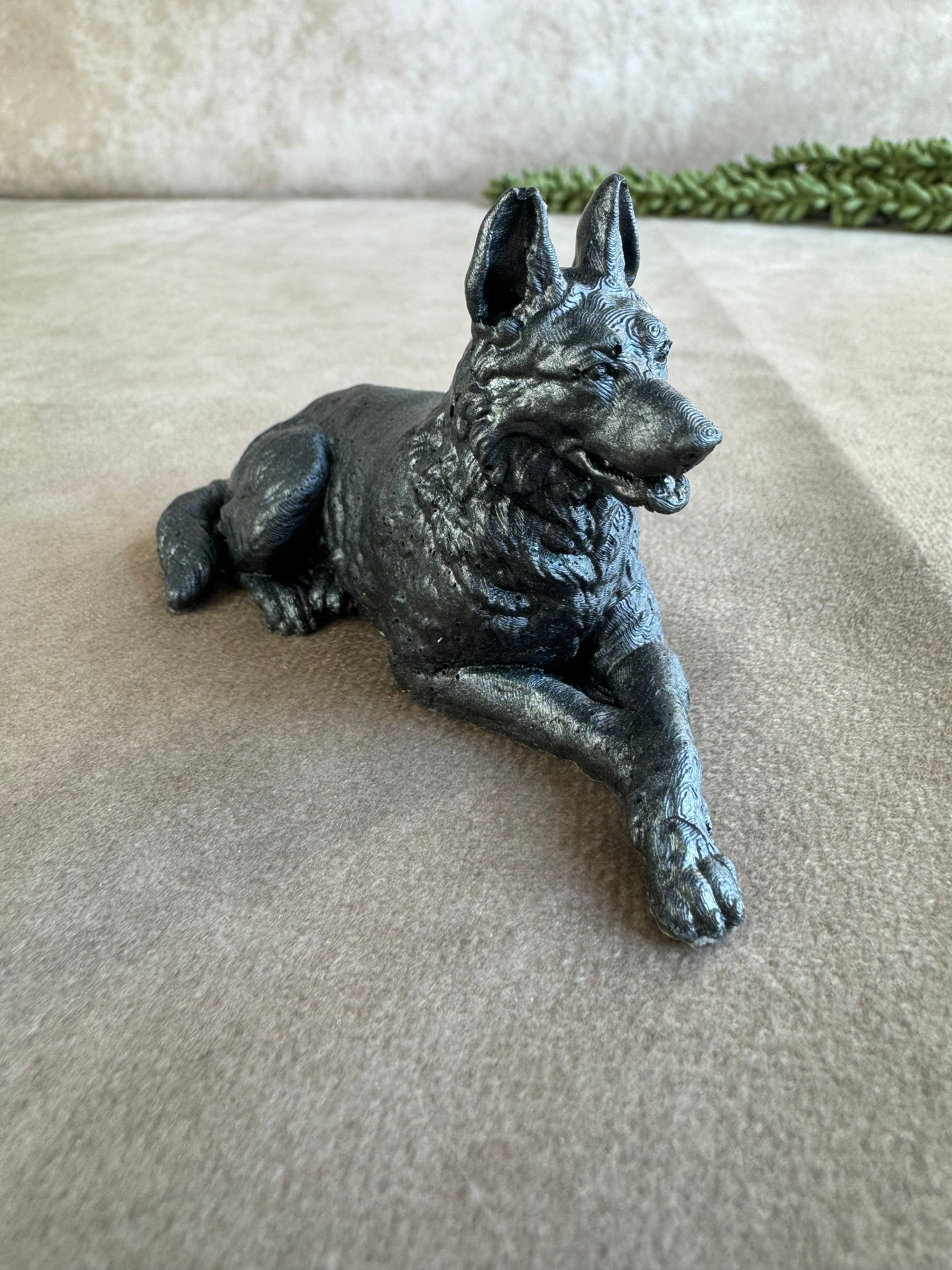 3 honden verschillende kleuren