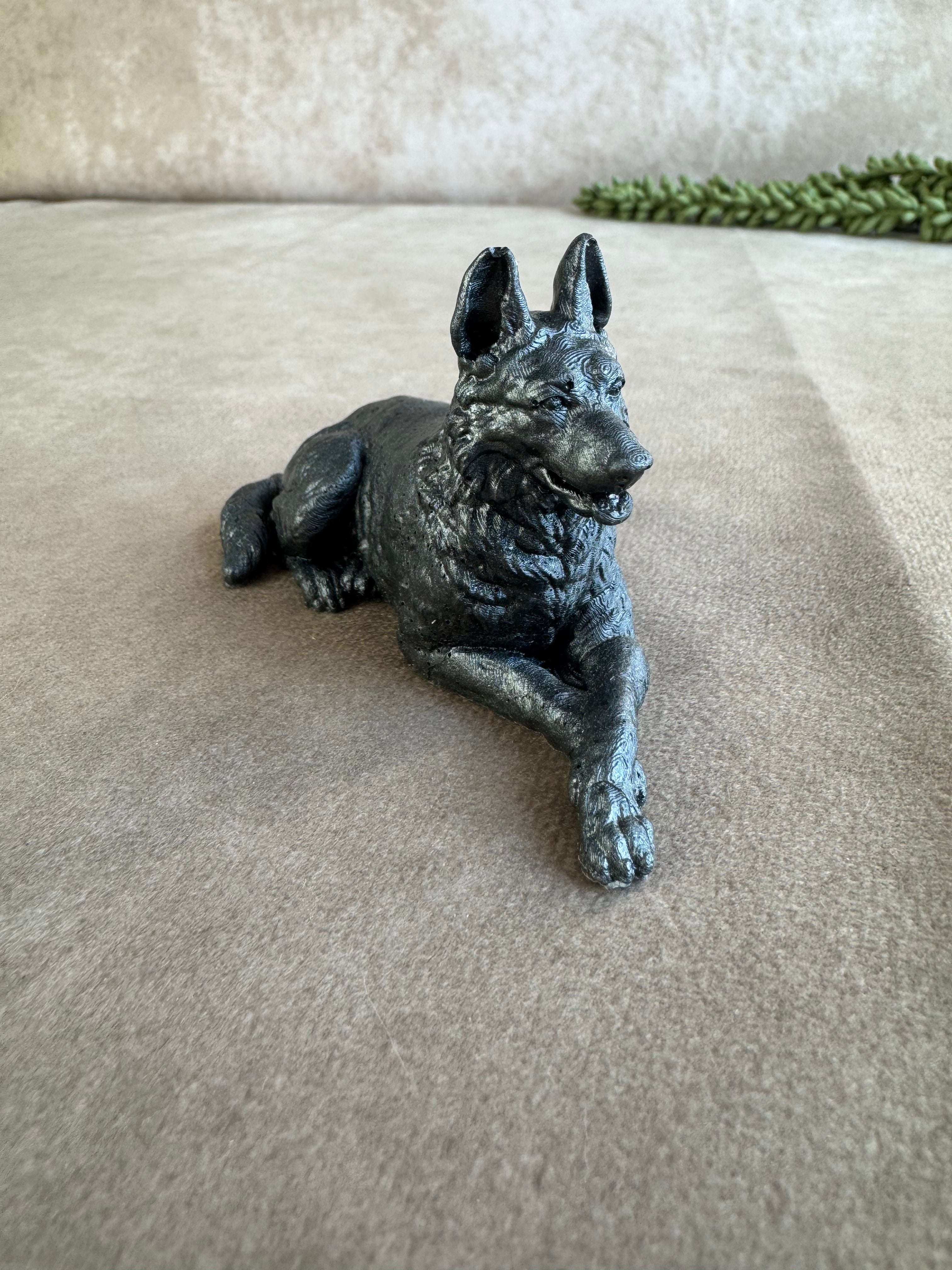 3 honden verschillende kleuren