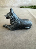 3 honden verschillende kleuren