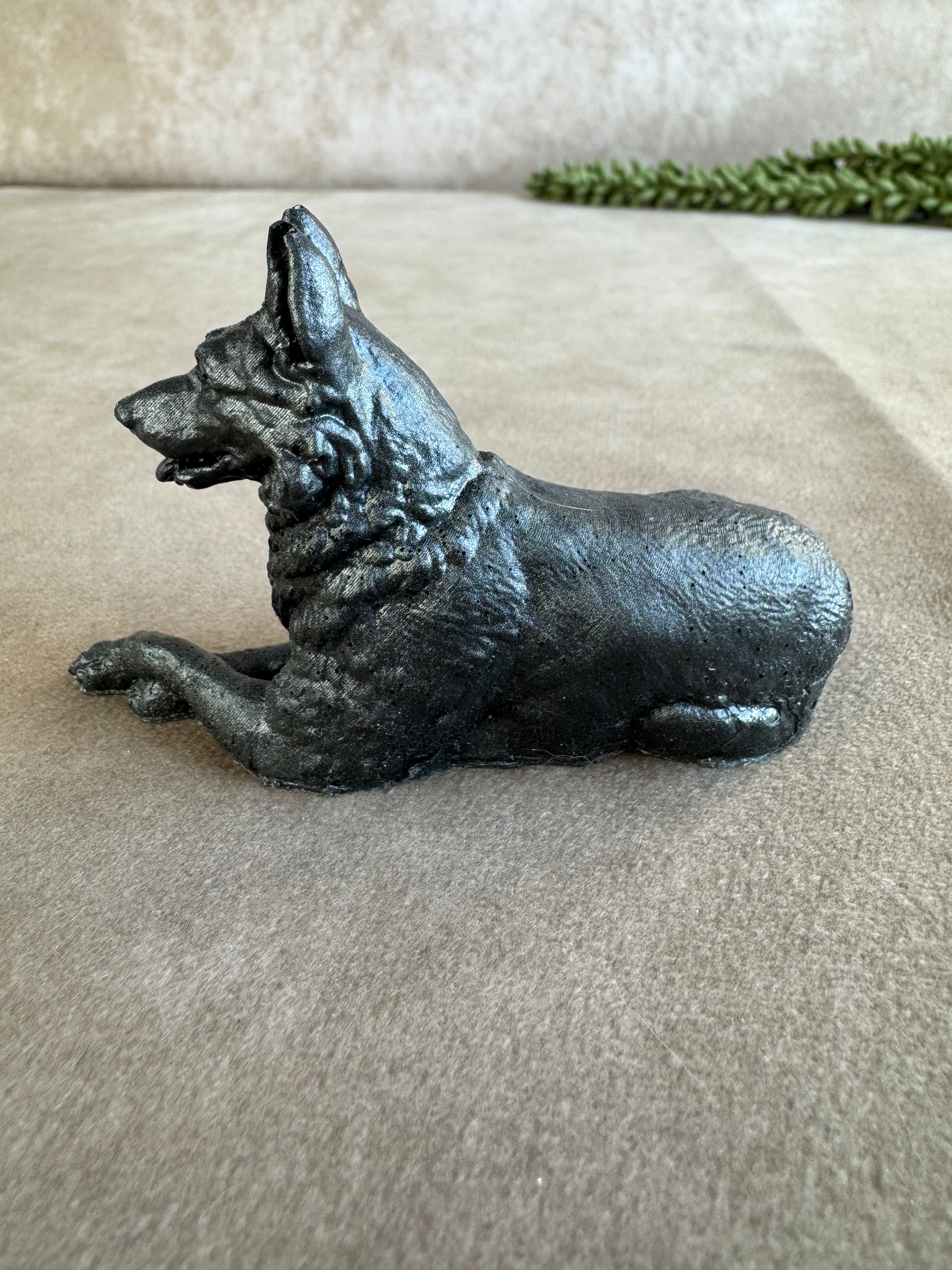 3 honden verschillende kleuren