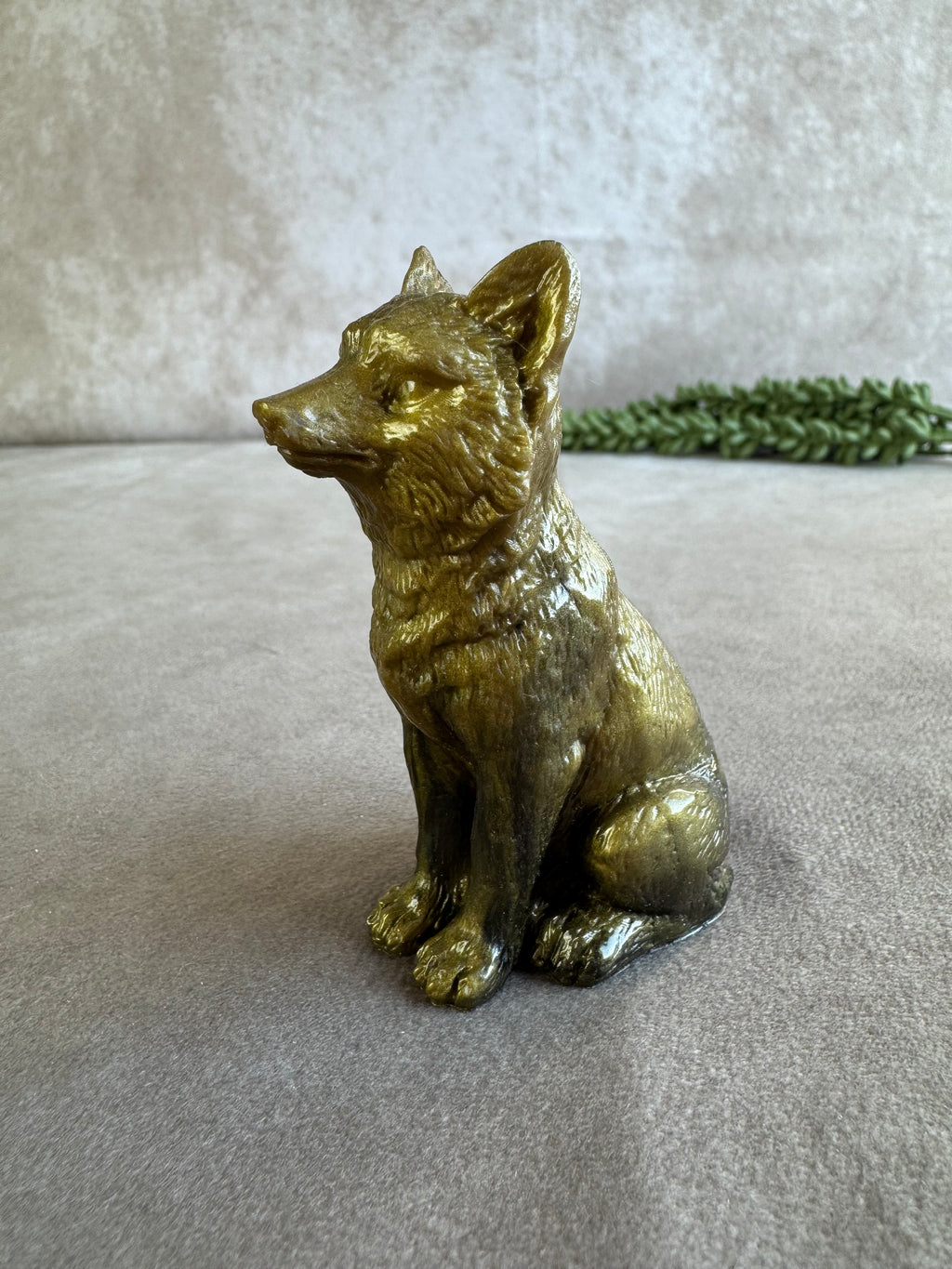 3 honden verschillende kleuren