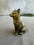 3 honden verschillende kleuren