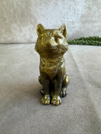 3 honden verschillende kleuren