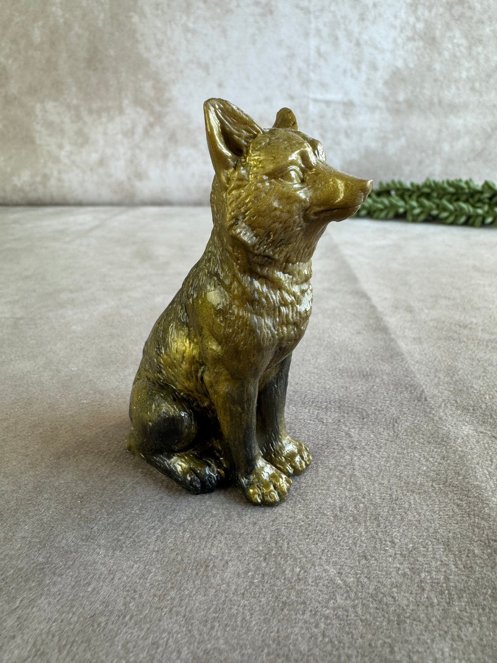 3 honden verschillende kleuren