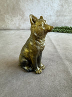 3 honden verschillende kleuren