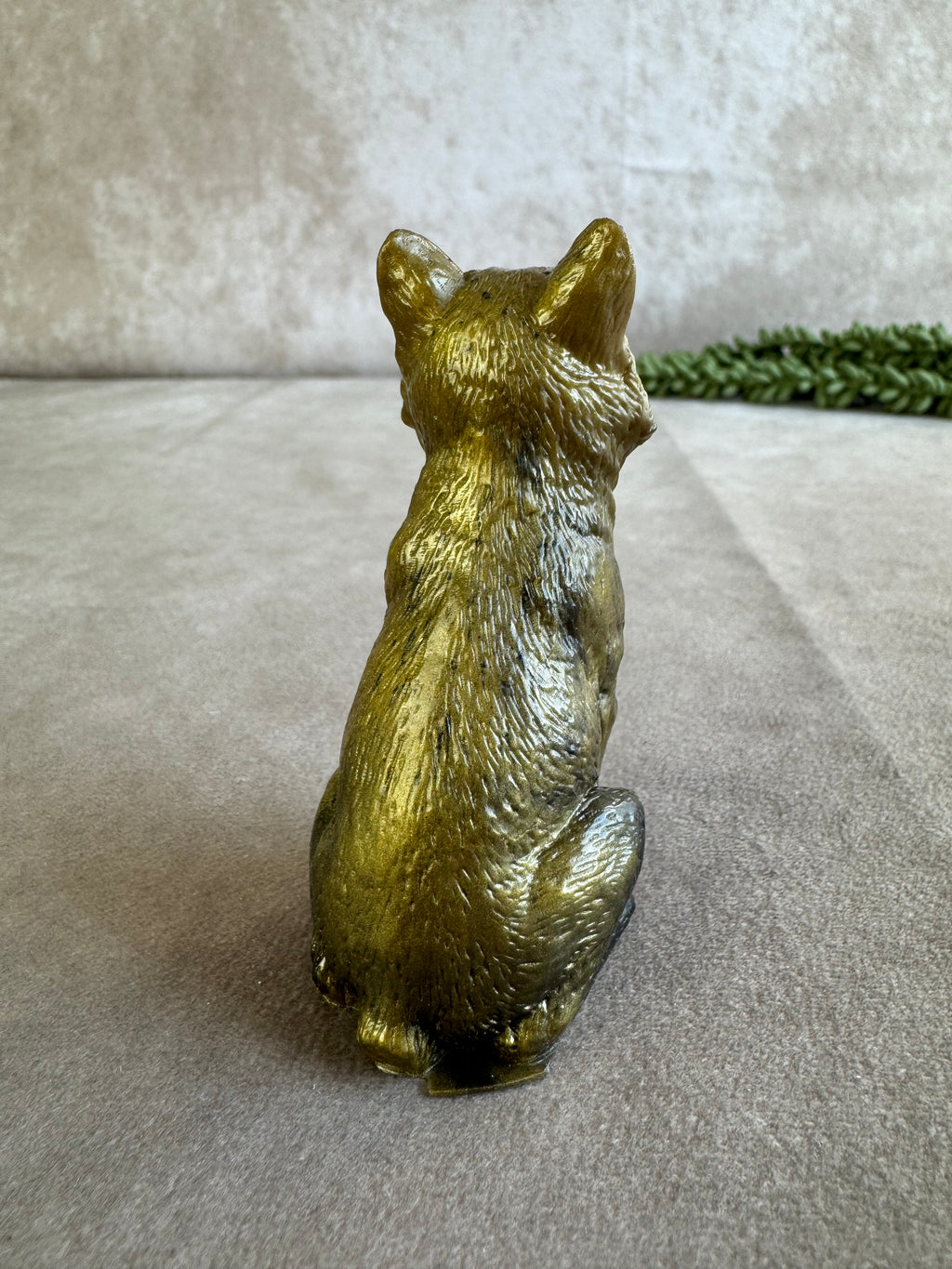 3 honden verschillende kleuren