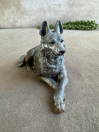 3 honden verschillende kleuren