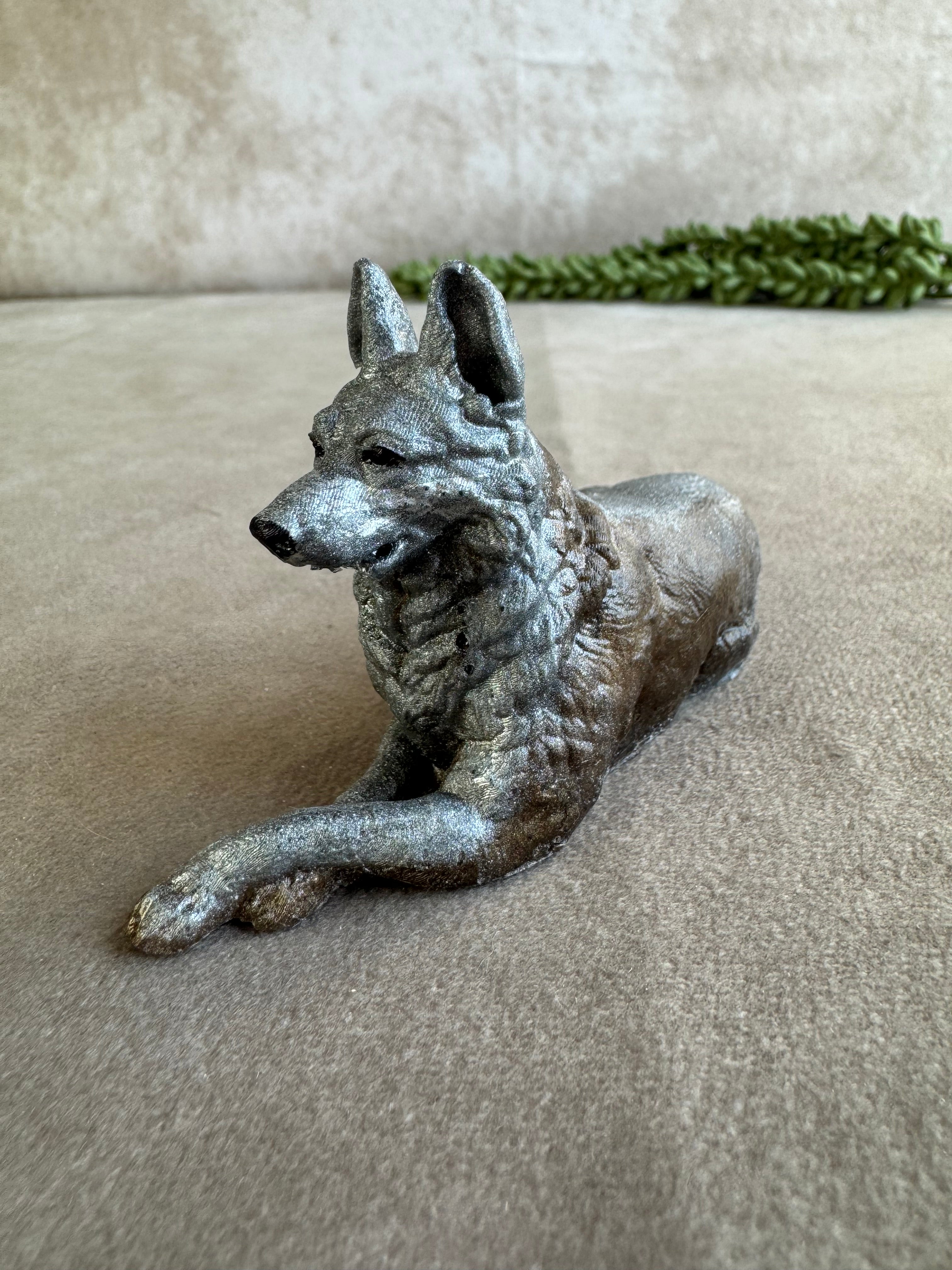 3 honden verschillende kleuren