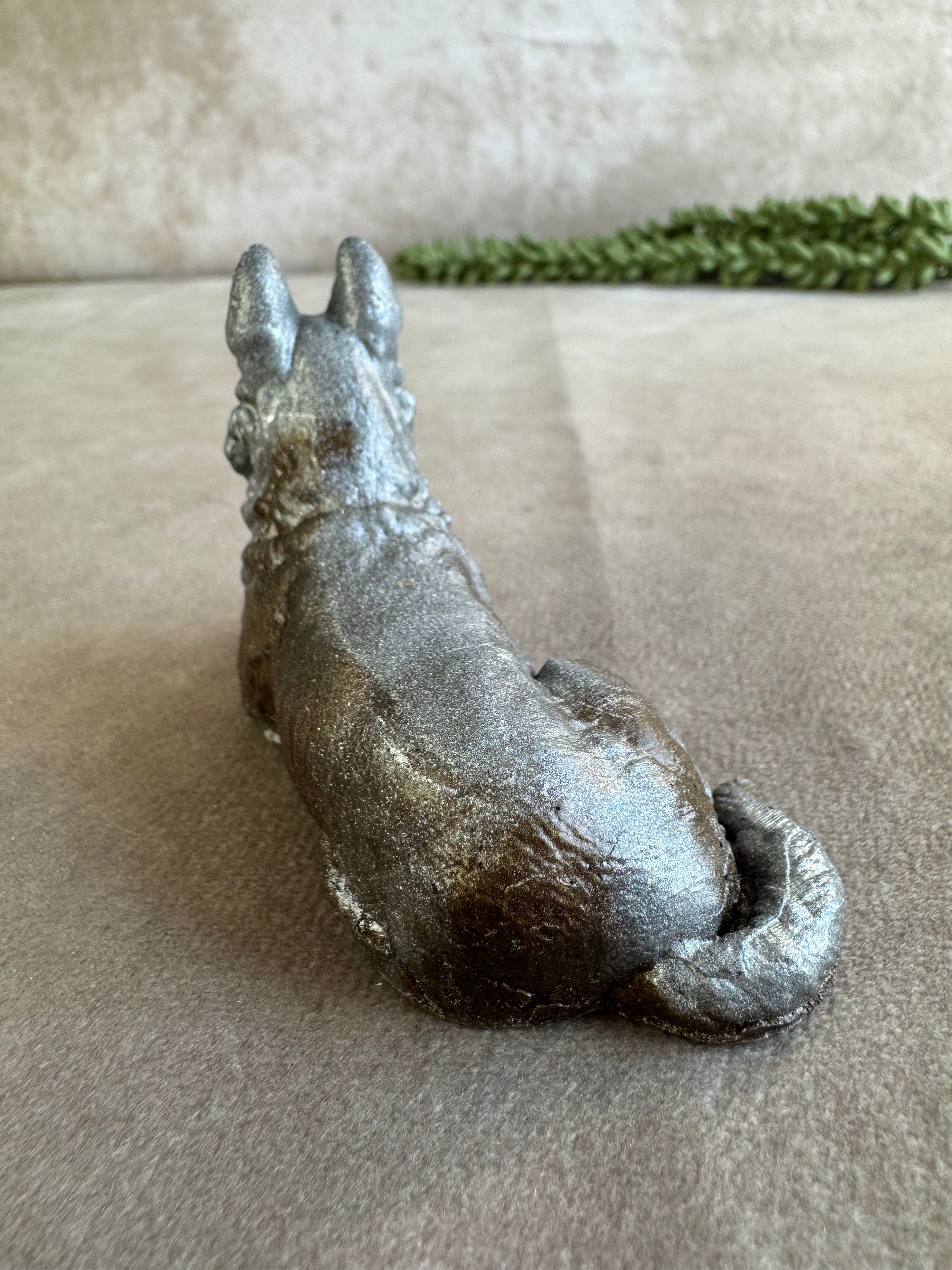 3 honden verschillende kleuren