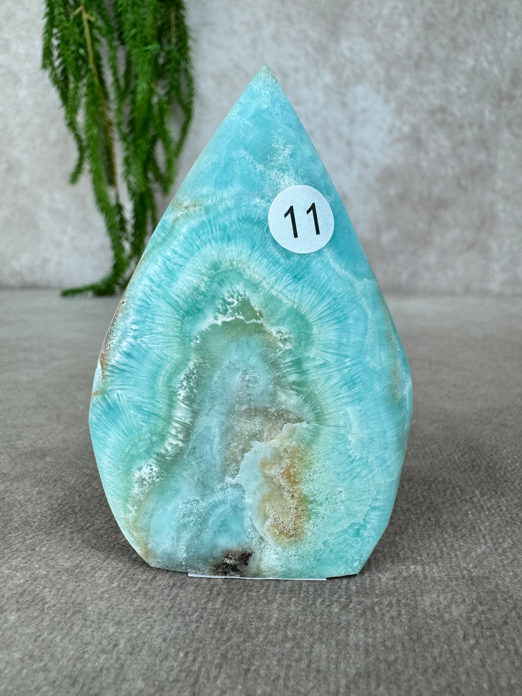 Hemimorfiet vlam #11