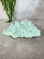 Grote cluster prehniet