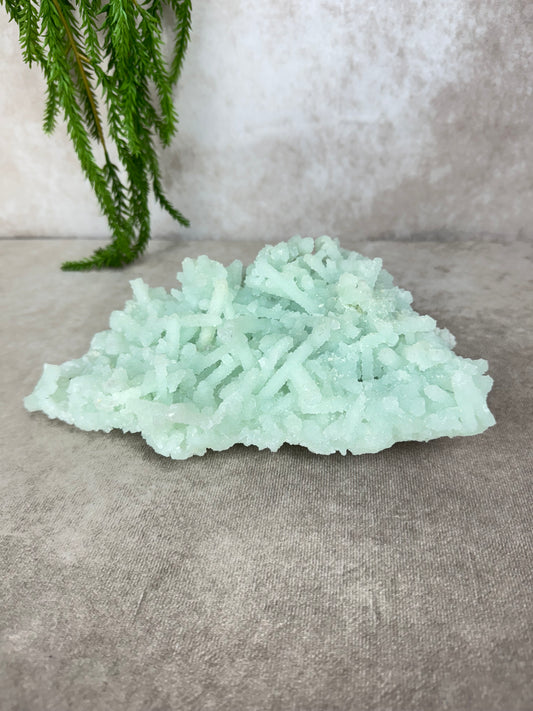 Grote cluster prehniet