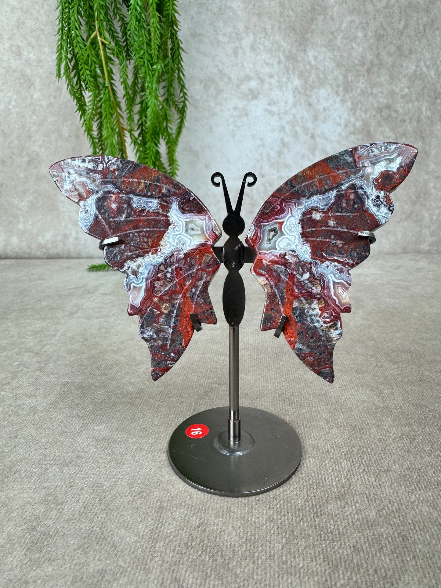 Vlinder Crazy lace agaat #16