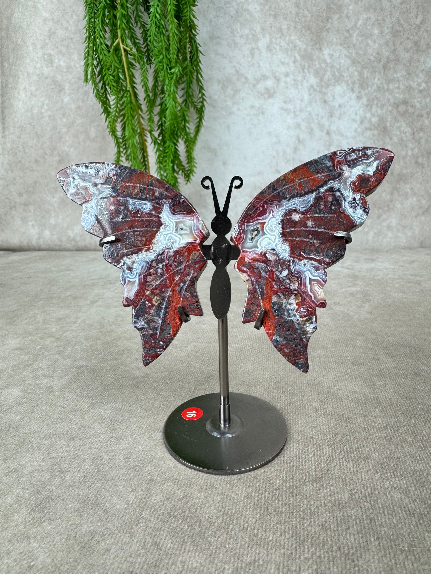 Vlinder Crazy lace agaat #16