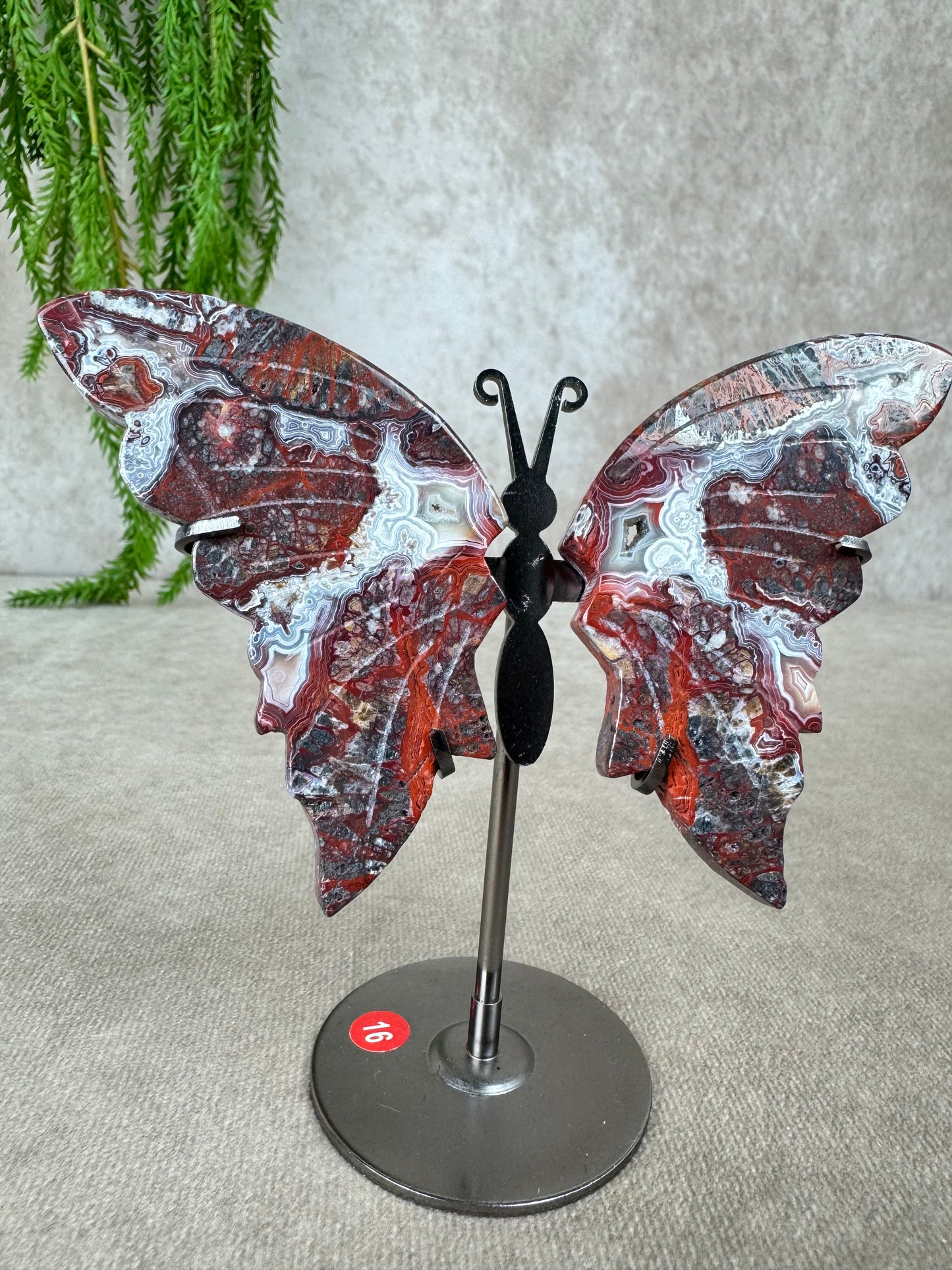 Vlinder Crazy lace agaat #16