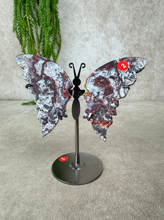 Vlinder crazy lace agaat #2