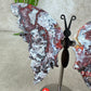 Vlinder crazy lace agaat #2