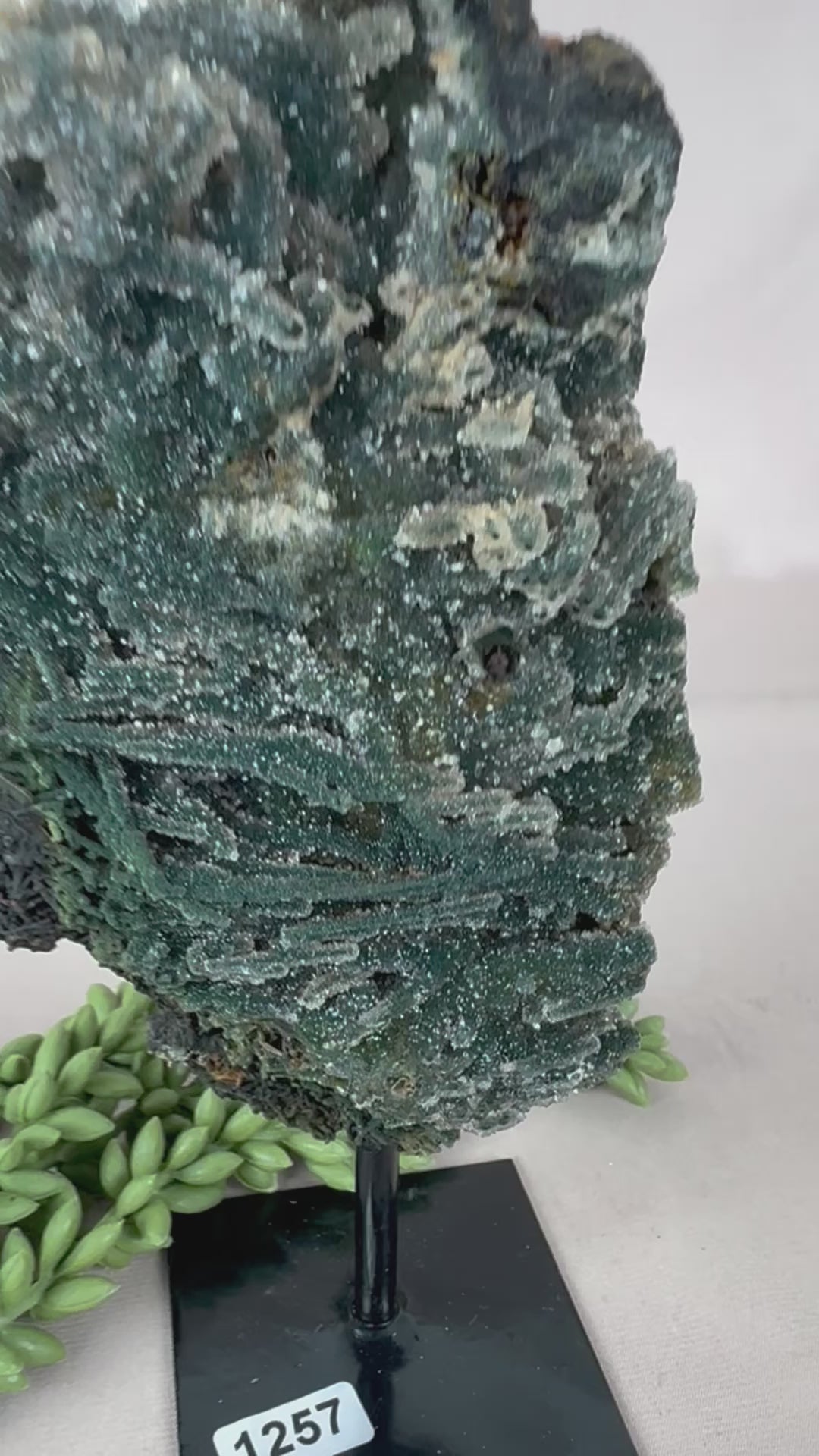 Chalcedoon op standaard #1257