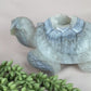Xxl schildpad agaat