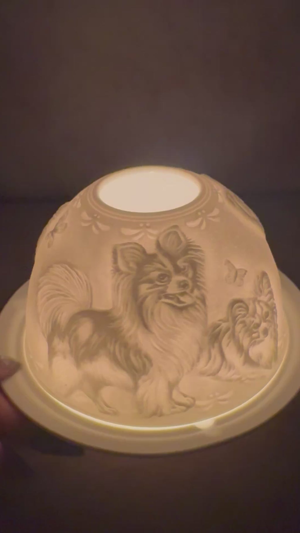 Waxine dome hond